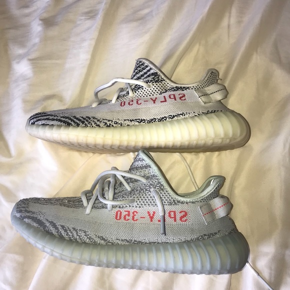 yeezy zebra blue tint